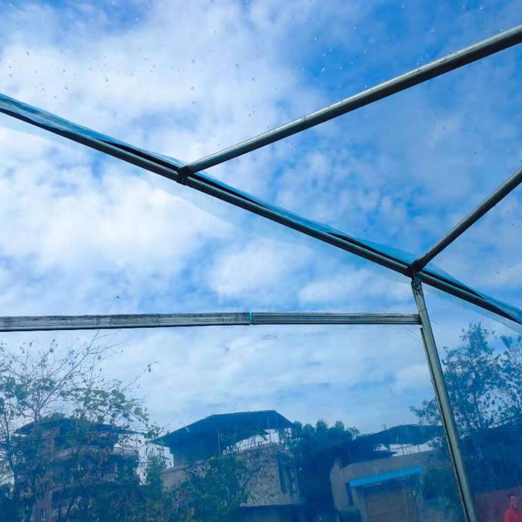 single-span plastic film greenhouse