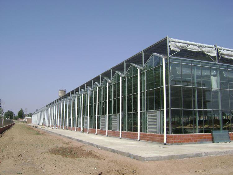 Infrastructure requirements for greenhouses