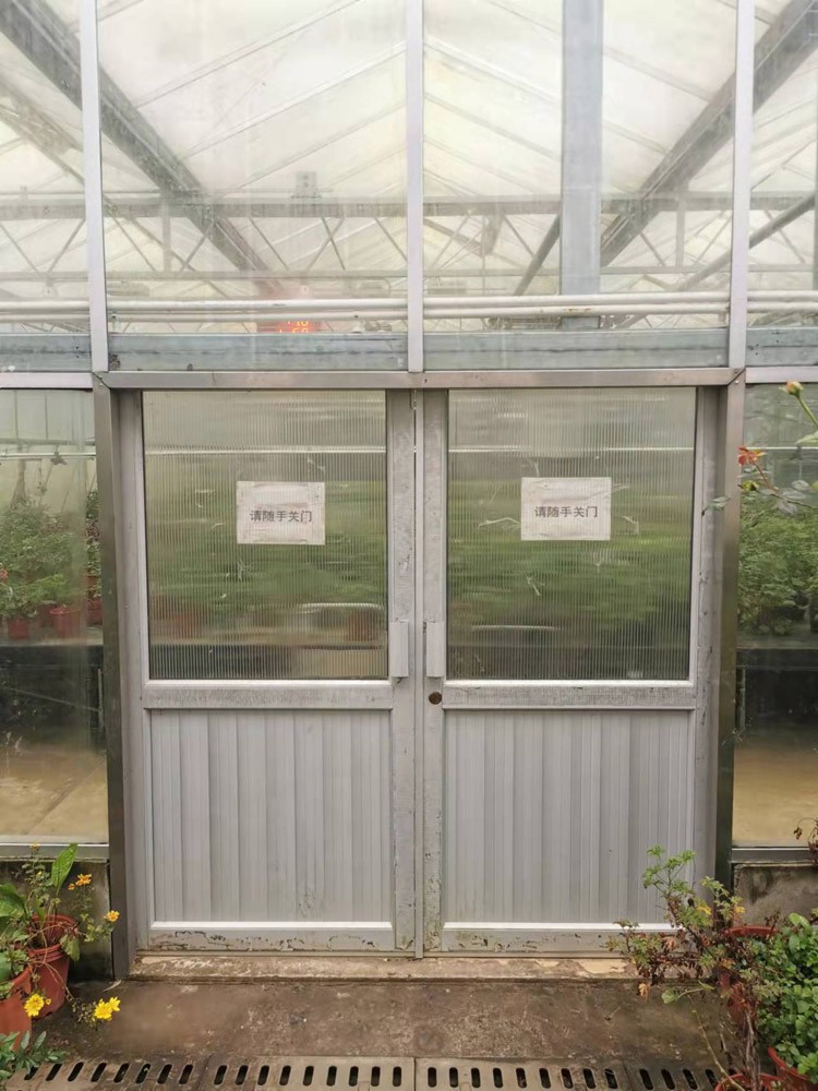 Plastic Greenhouse