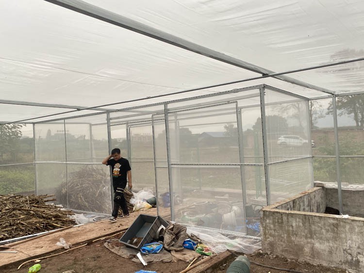 Strong winds in winter, greenhouses should be prevented in advance Strong winds in winter, greenhouses should be prevented in advance