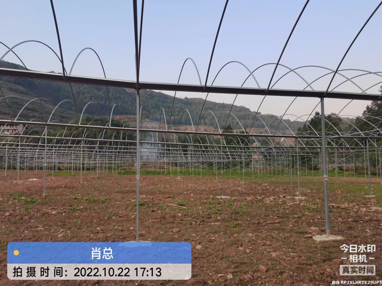 Analysis of the advantages and characteristics of photovoltaic greenhouses Analysis of the advantages and characteristics of photovoltaic greenhouses