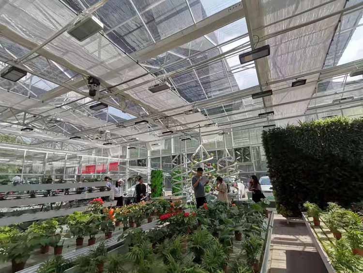 Analysis of the Four Characteristics of Photovoltaic Smart Greenhouse Construction Analysis of the Four Characteristics of Photovoltaic Smart Greenhouse Construction