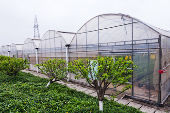 Cold-proof Multi-span Greenhouse Cold-proof Multi-span Greenhouse